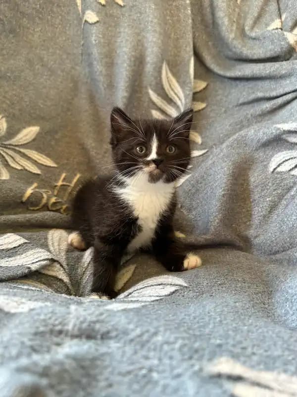 carousel-image-mobile-7