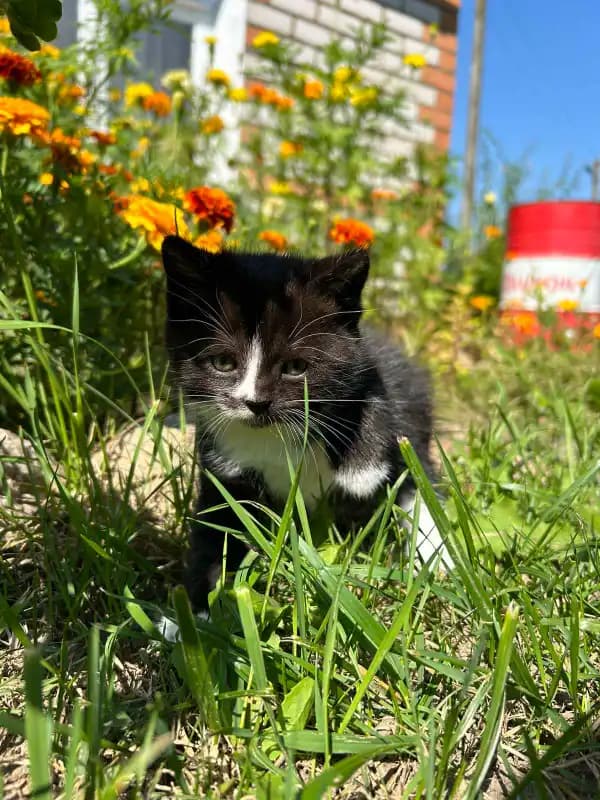 carousel-image-mobile-8