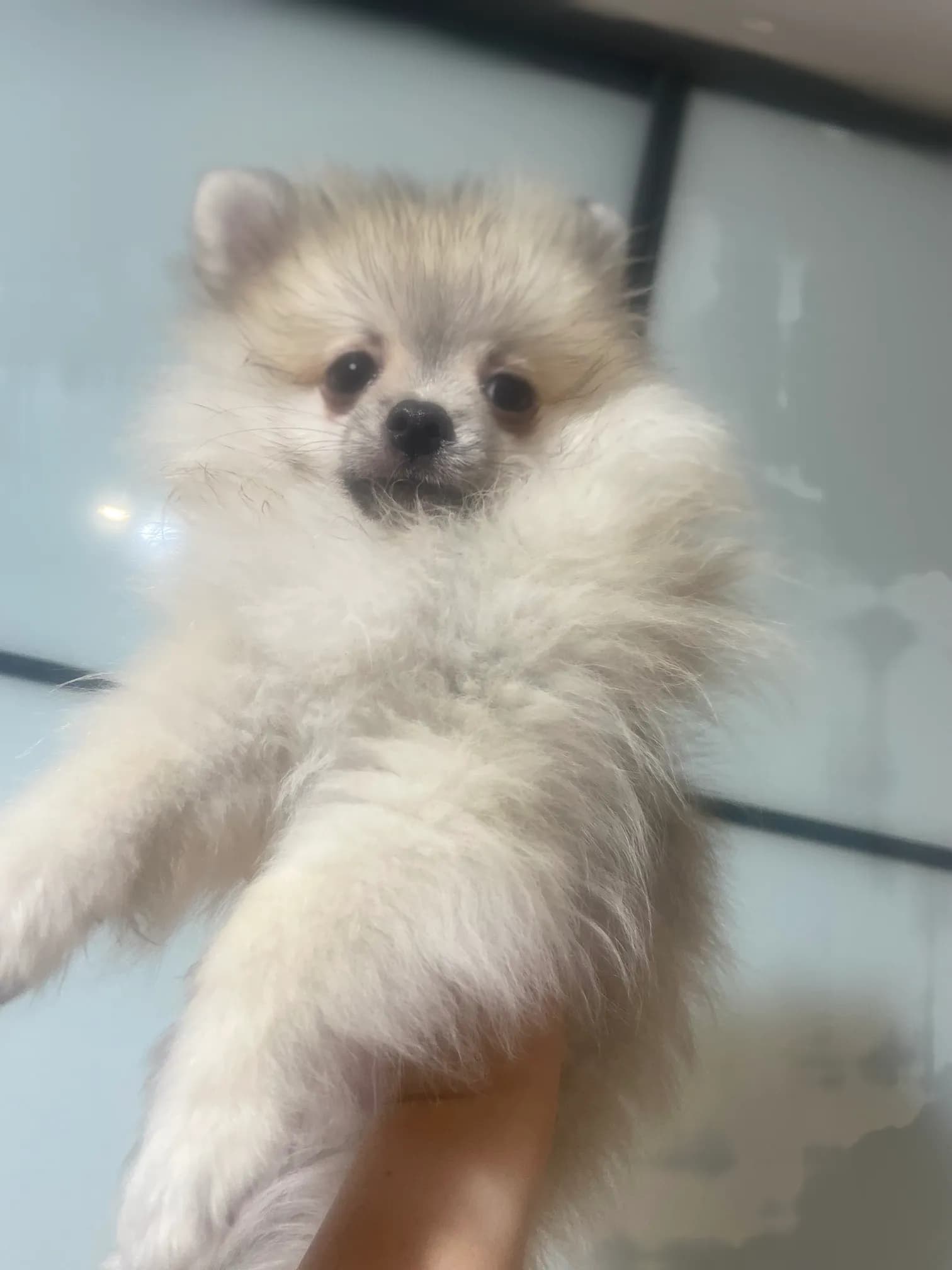 carousel-image-mobile-1