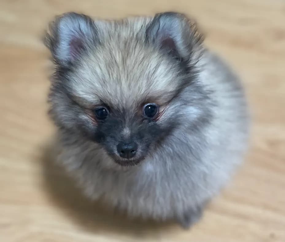 carousel-image-mobile-2