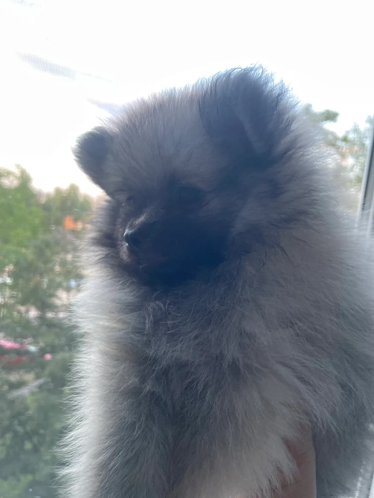 carousel-image-mobile-3