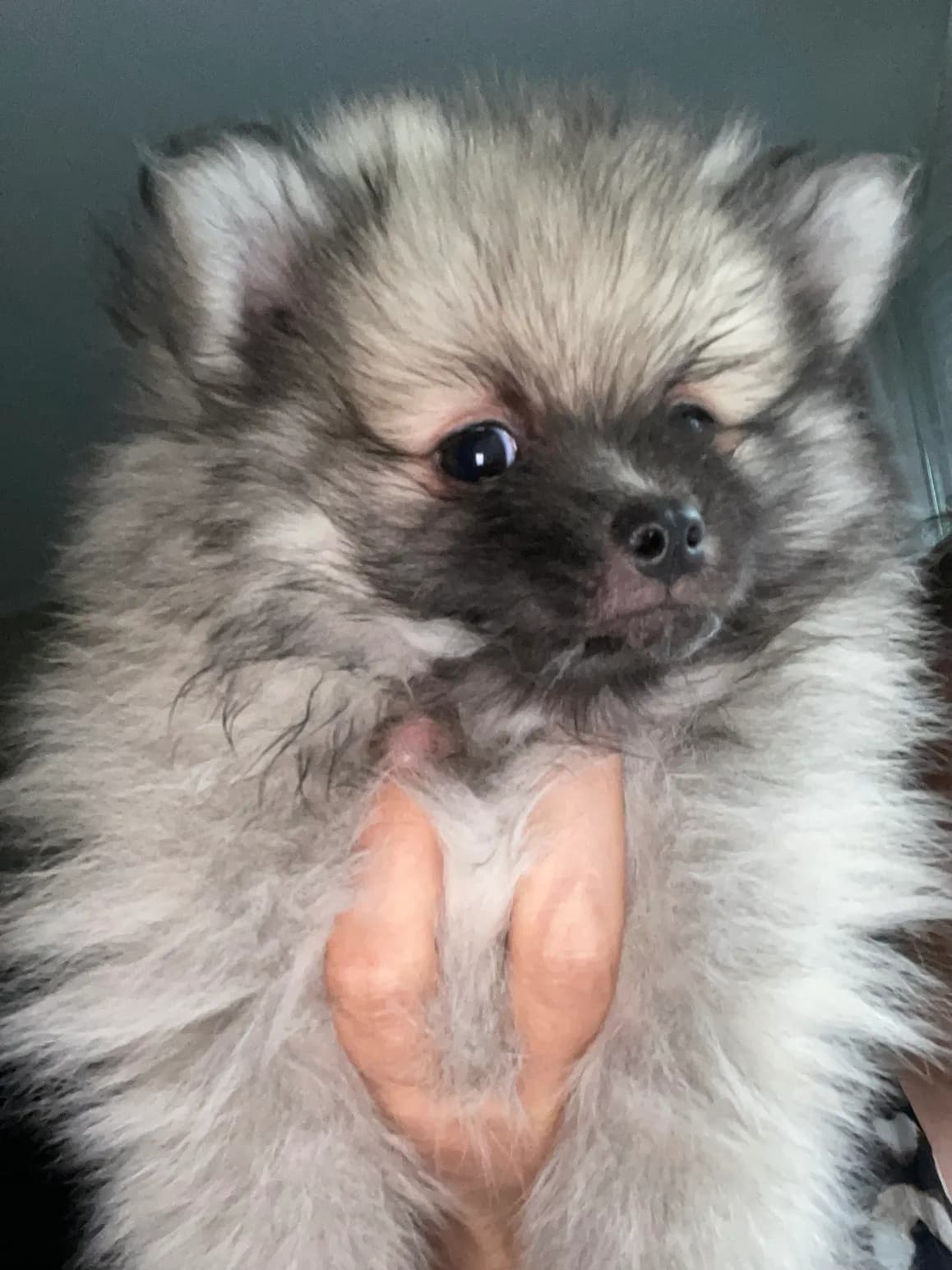 carousel-image-mobile-4