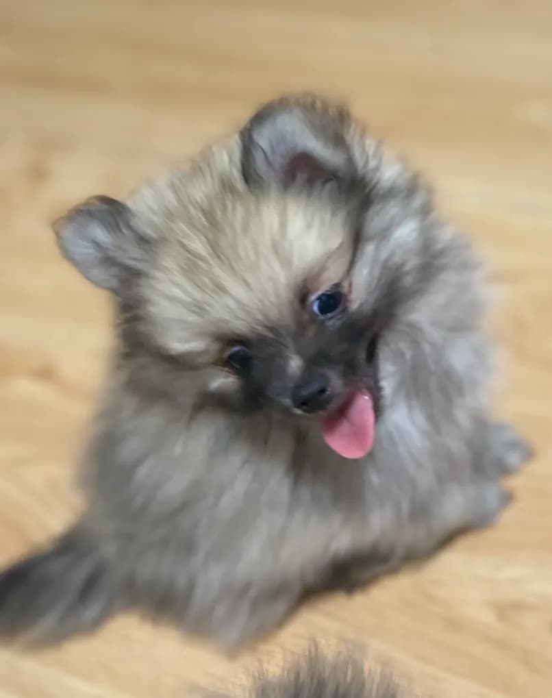 carousel-image-mobile-5