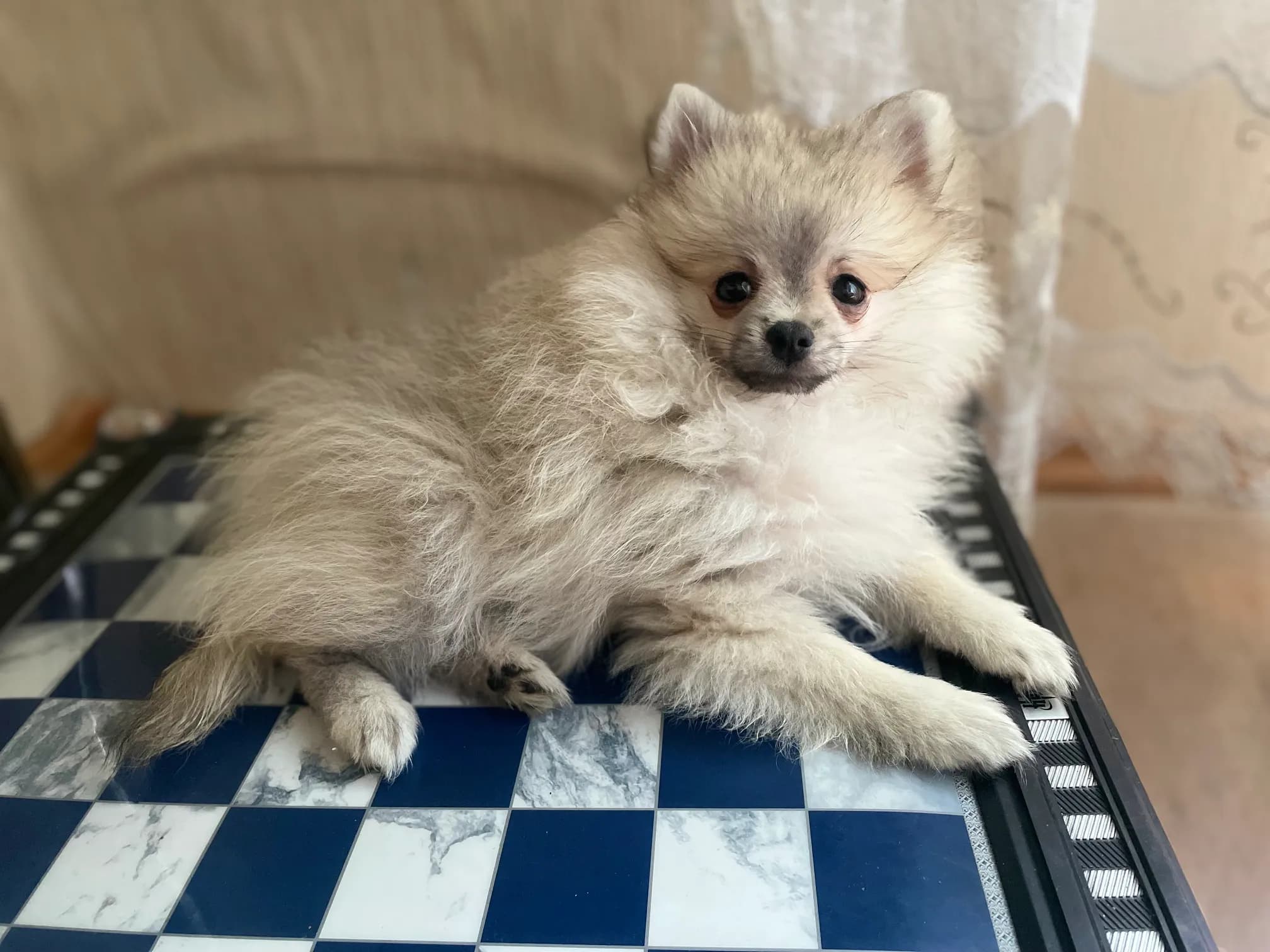 carousel-image-mobile-6