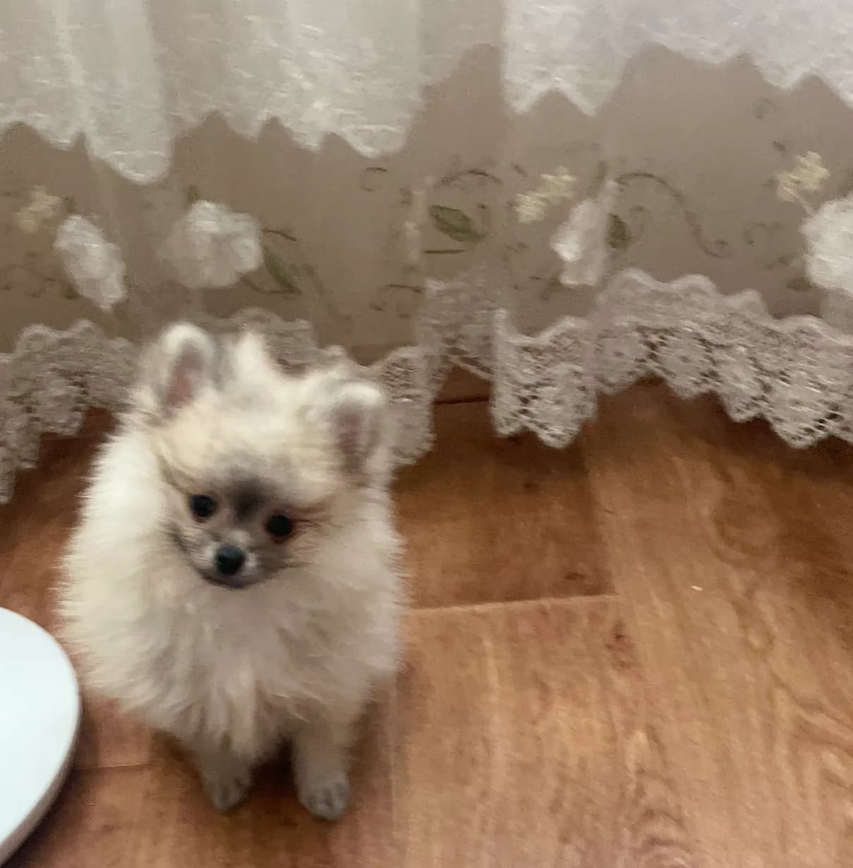 carousel-image-mobile-7