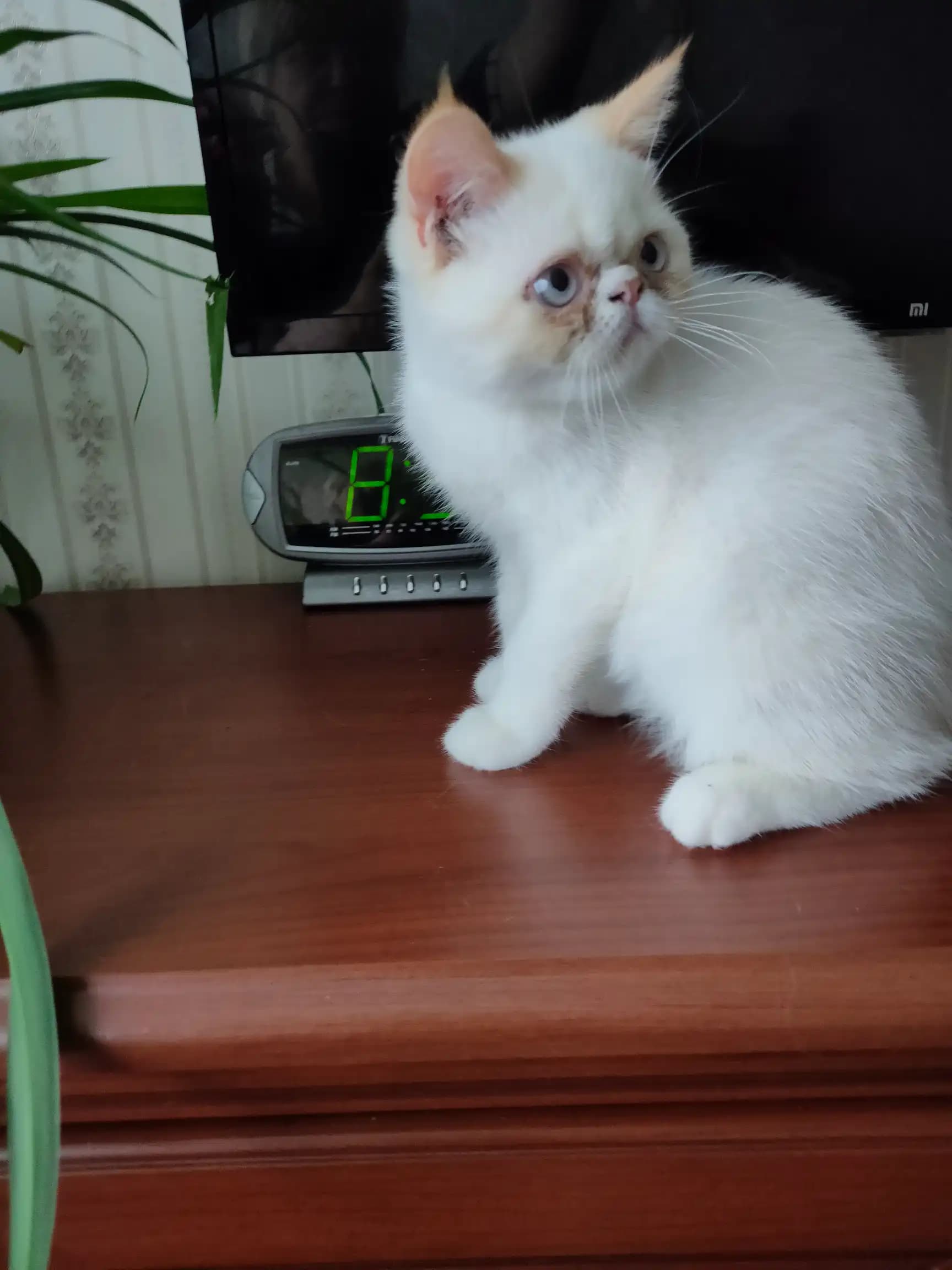 carousel-image-mobile-3