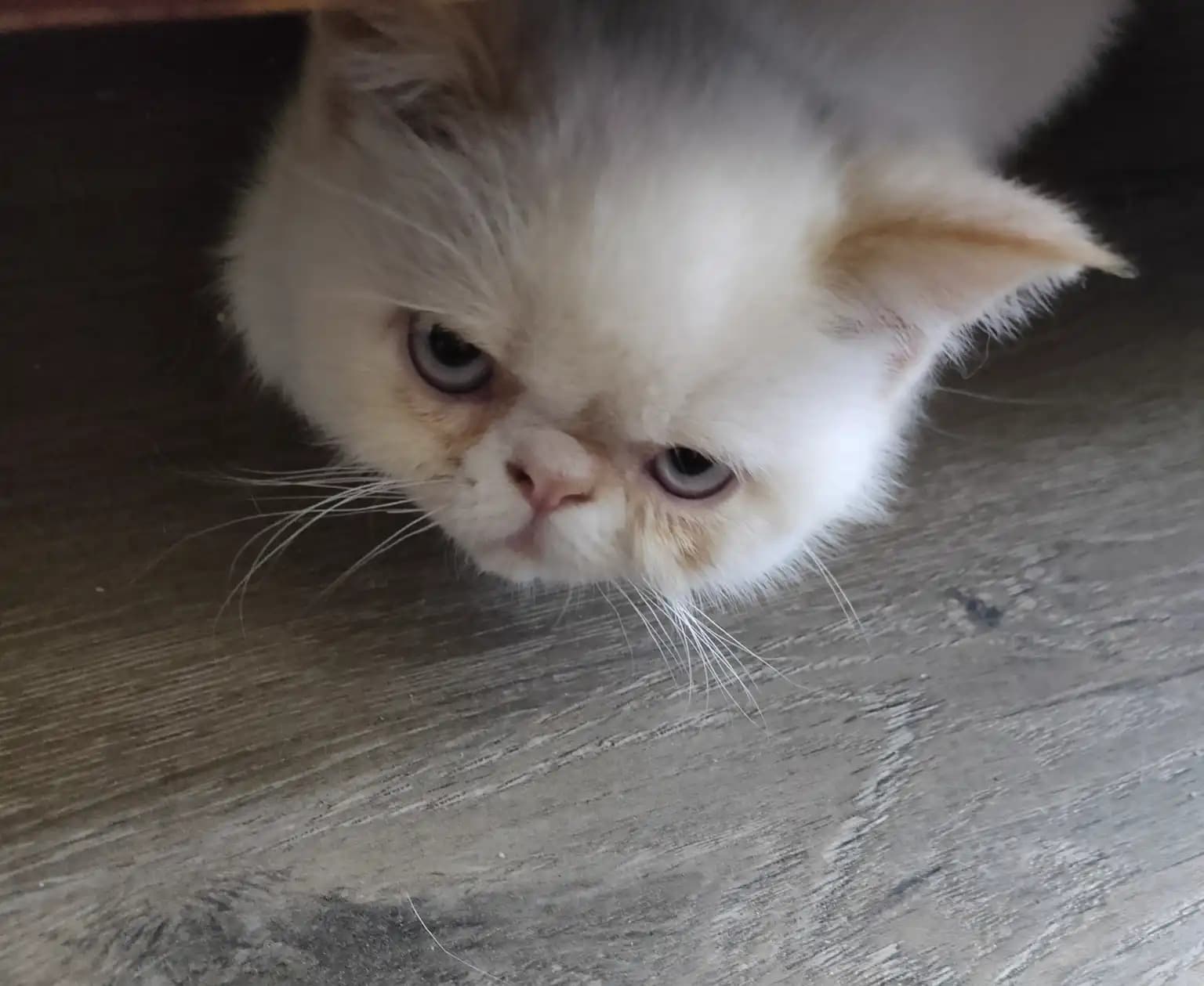 carousel-image-mobile-4