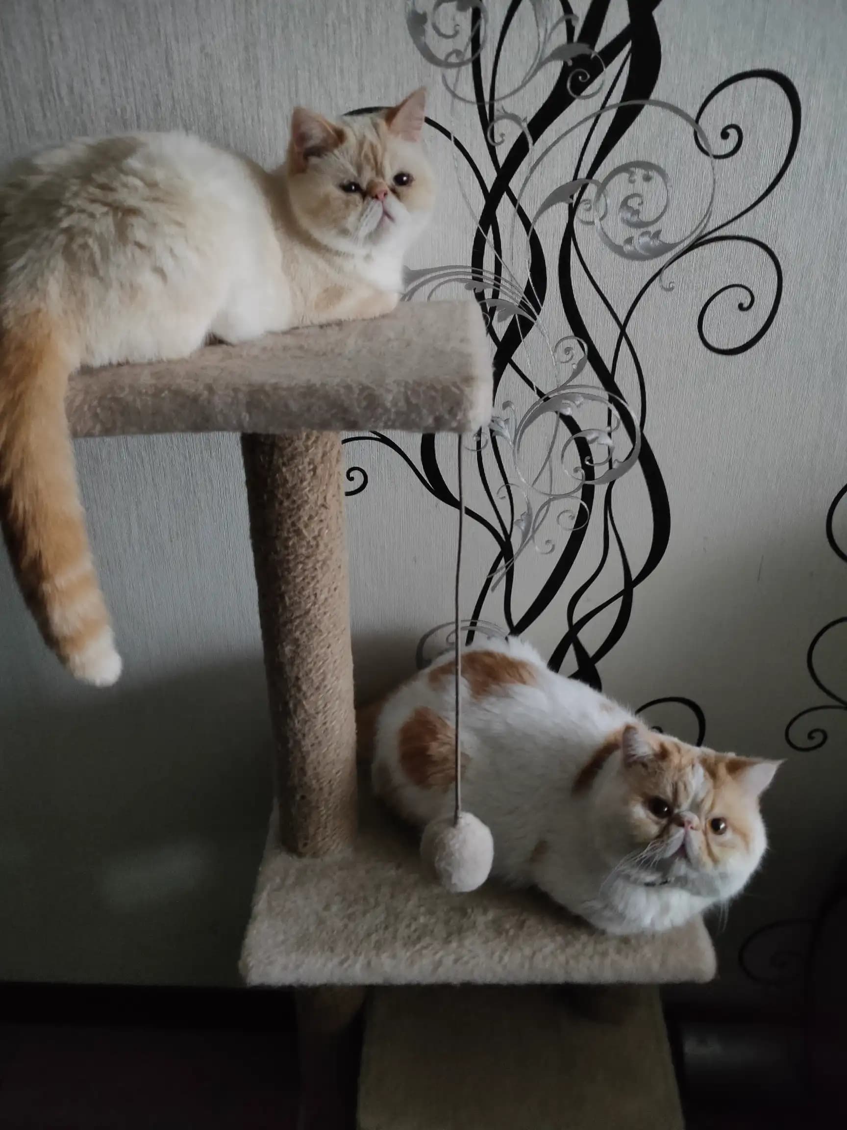 carousel-image-mobile-5