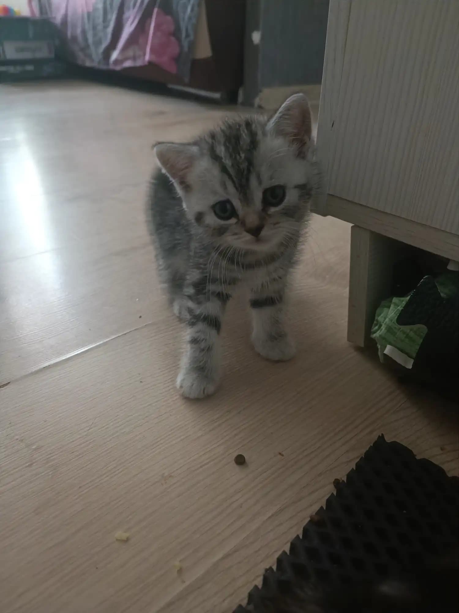 carousel-image-mobile-1