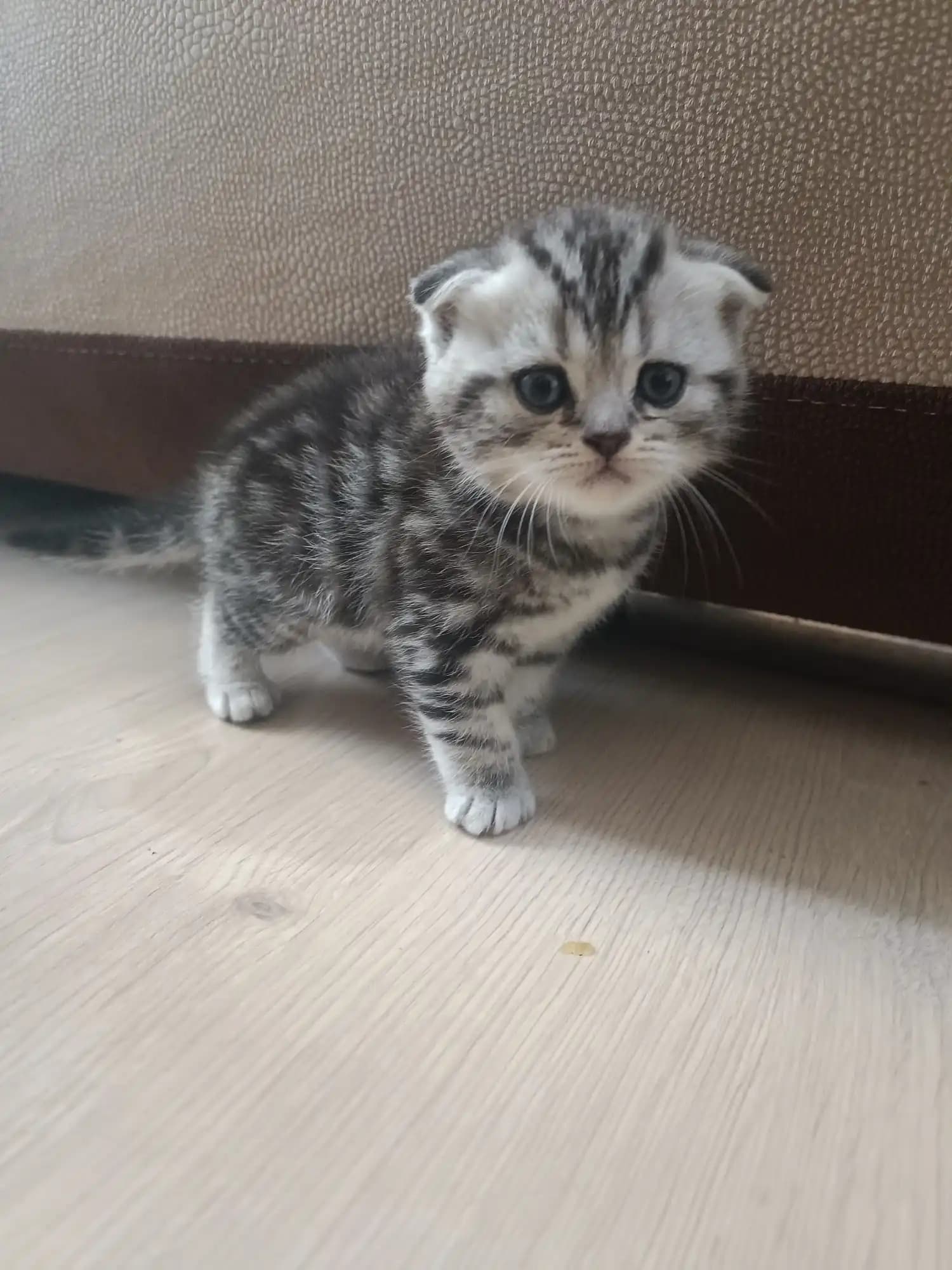 carousel-image-mobile-4