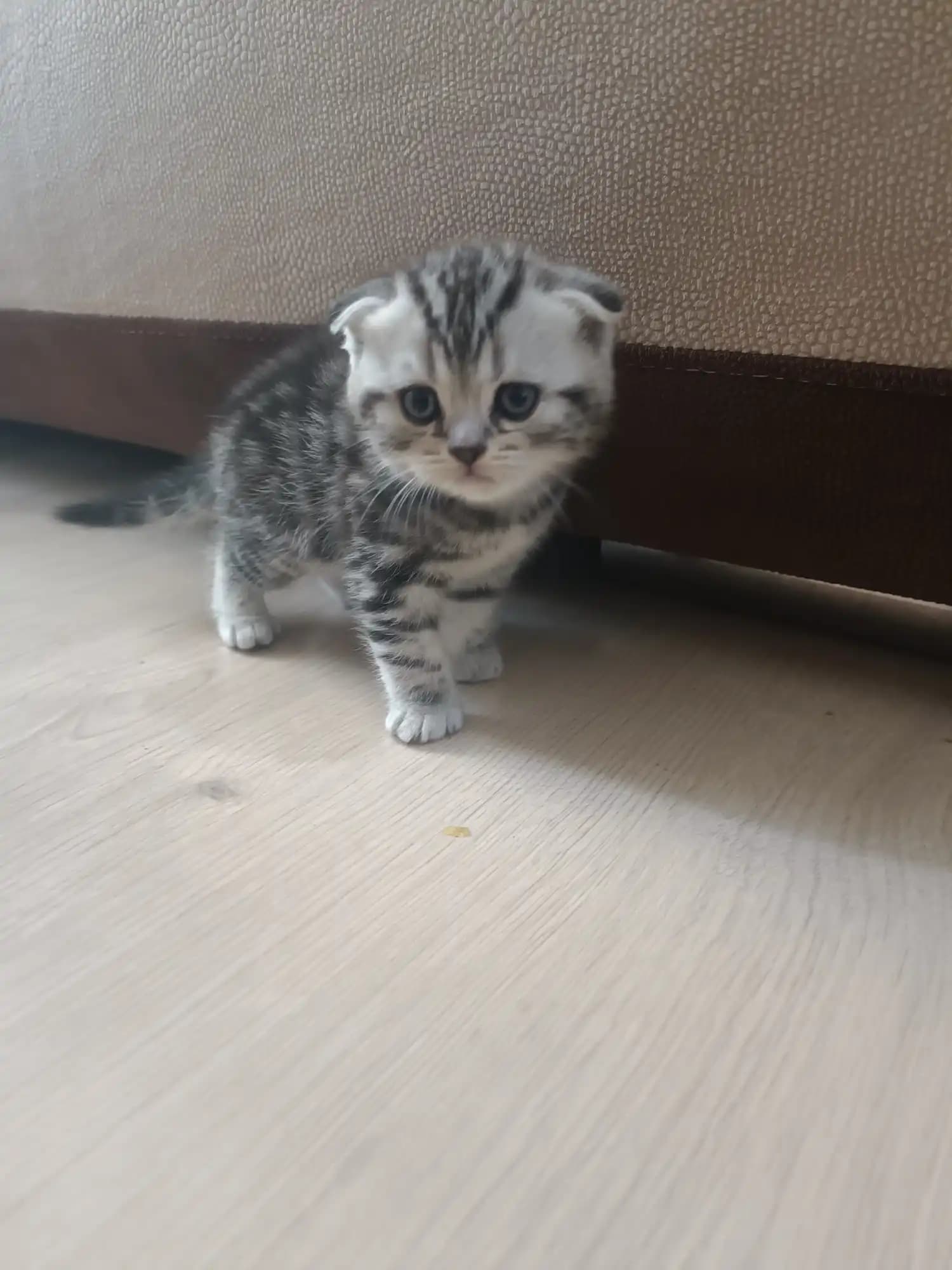 carousel-image-mobile-5