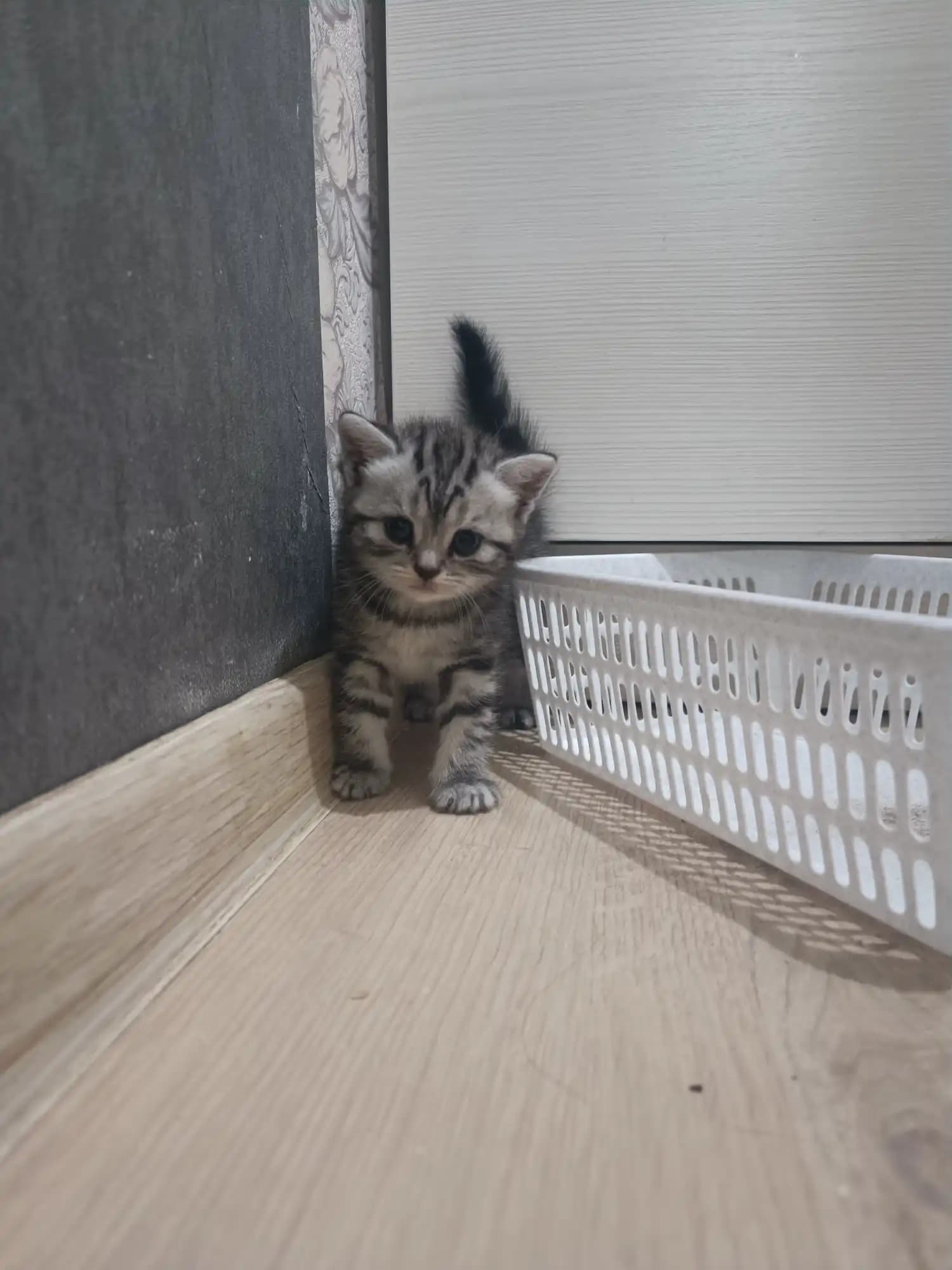 carousel-image-mobile-6