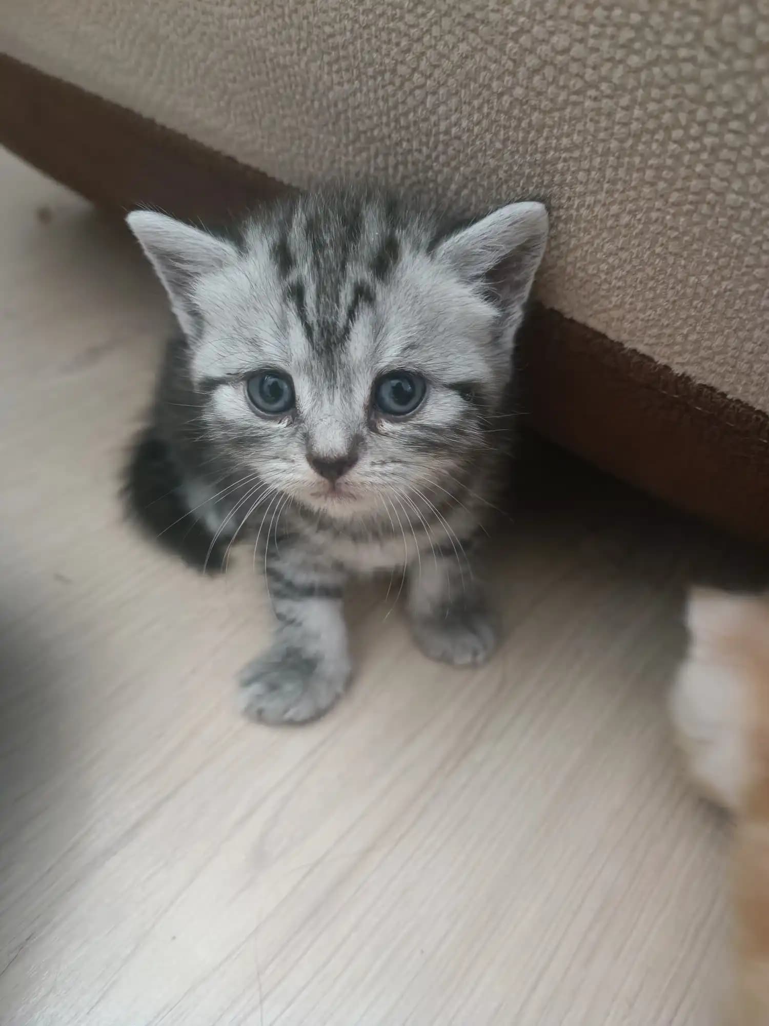 carousel-image-mobile-8