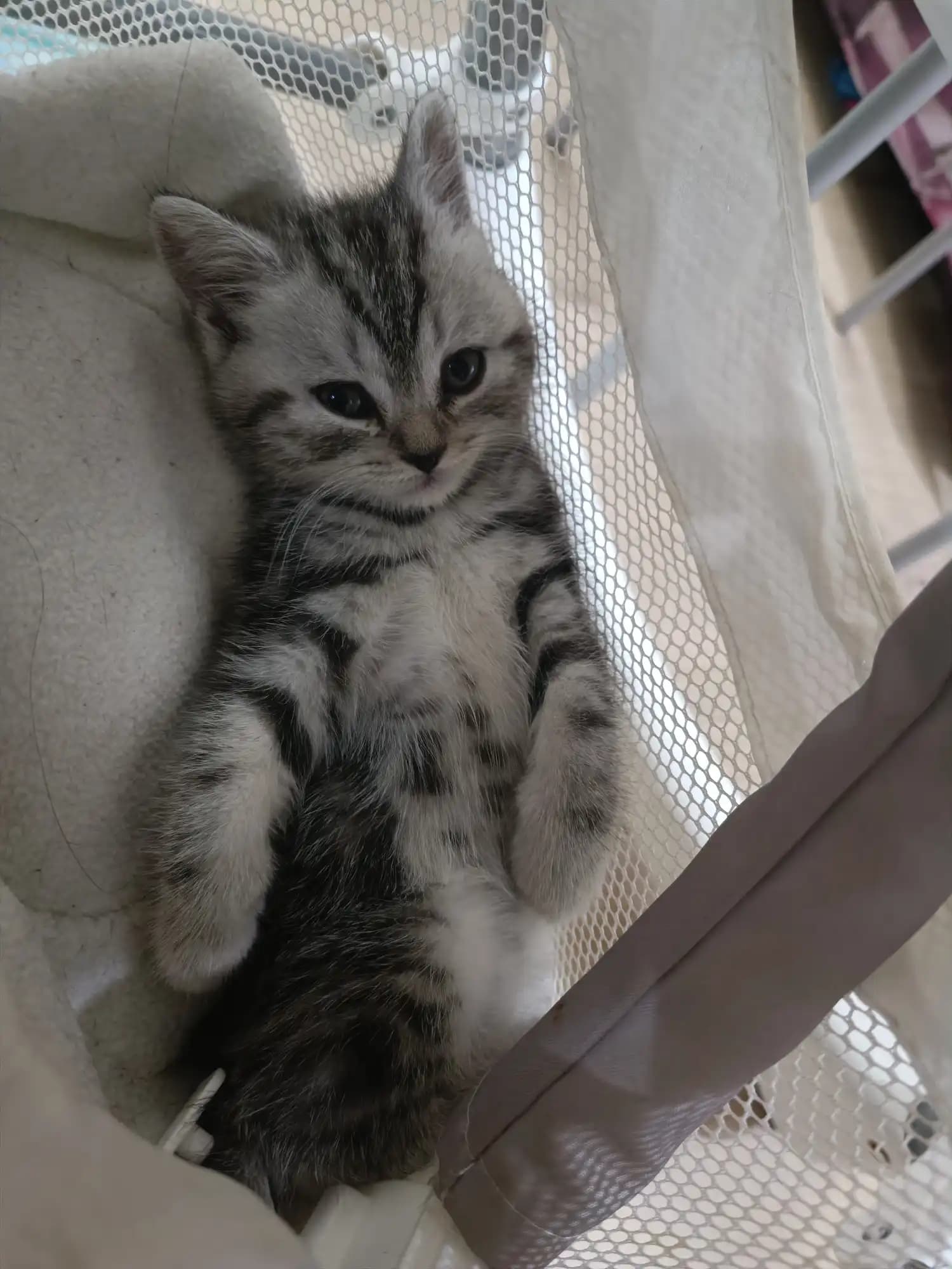 carousel-image-mobile-9