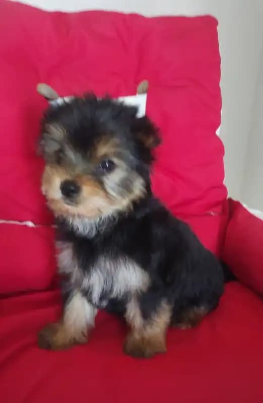 carousel-image-mobile-1