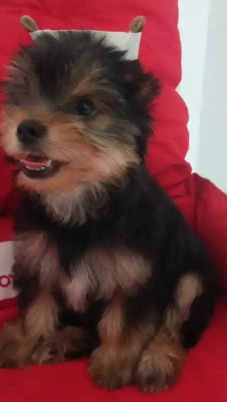 carousel-image-mobile-2