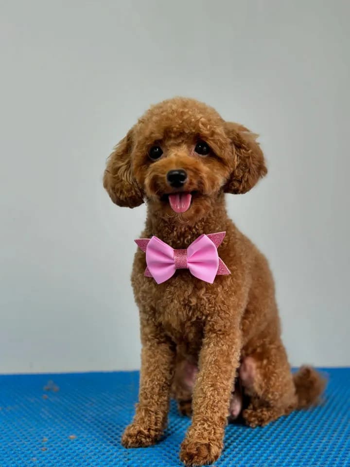 carousel-image-mobile-1