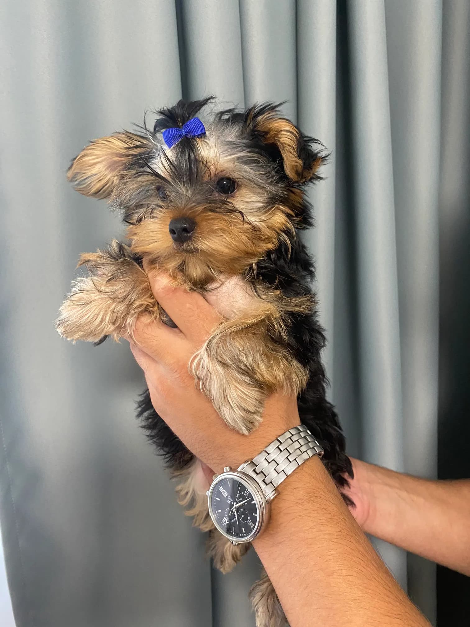 carousel-image-mobile-1