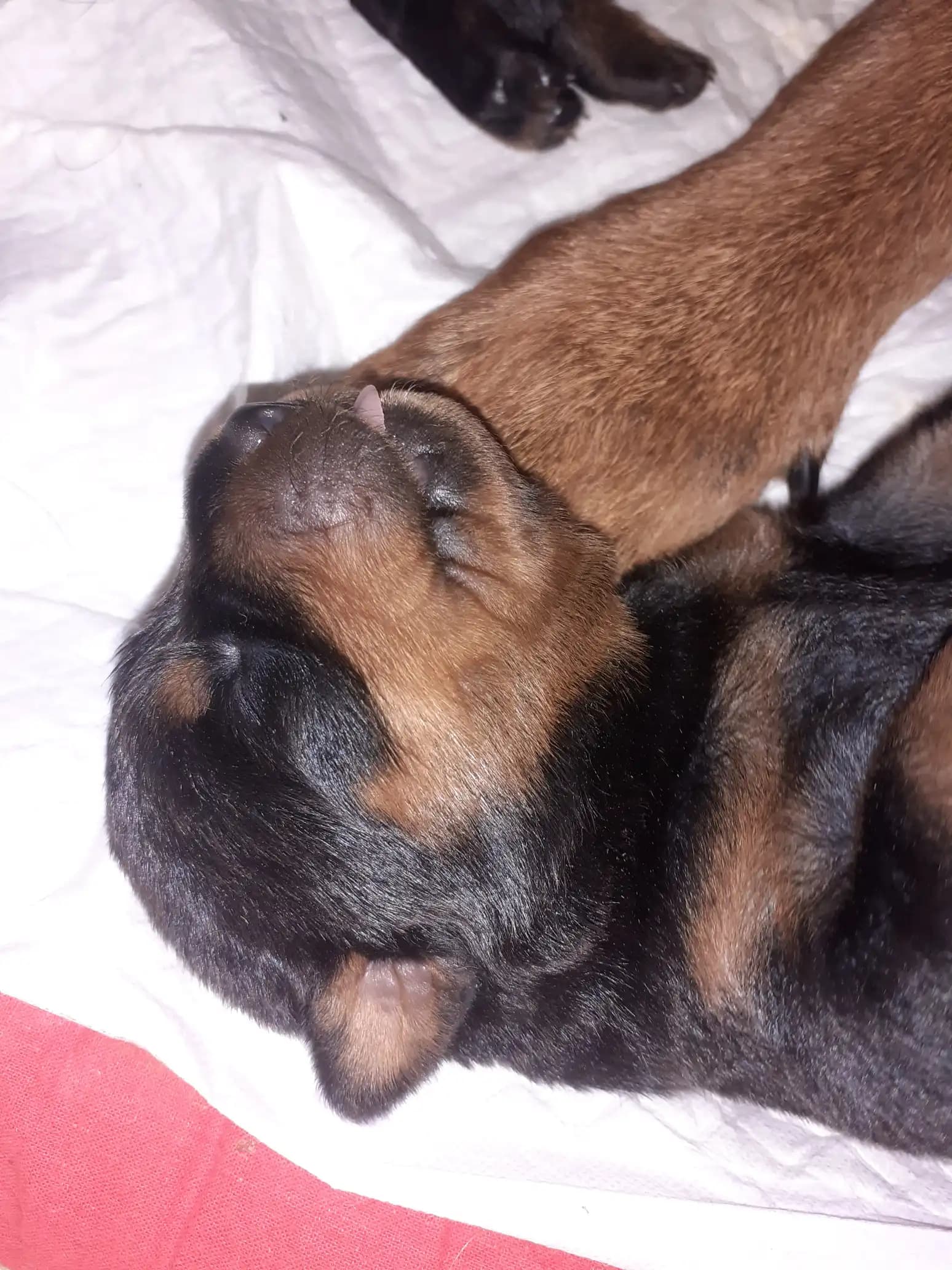 carousel-image-mobile-1