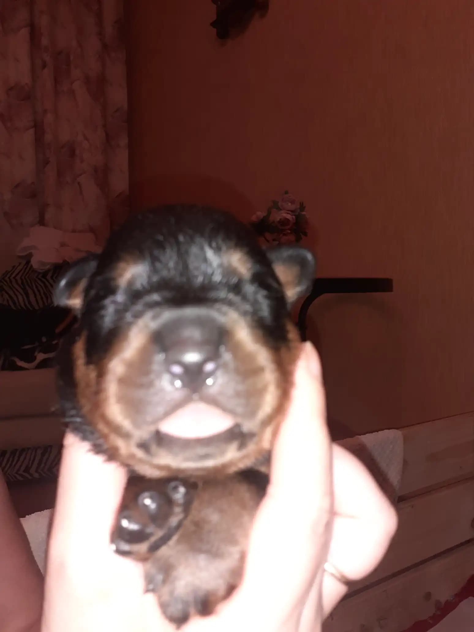 carousel-image-mobile-2