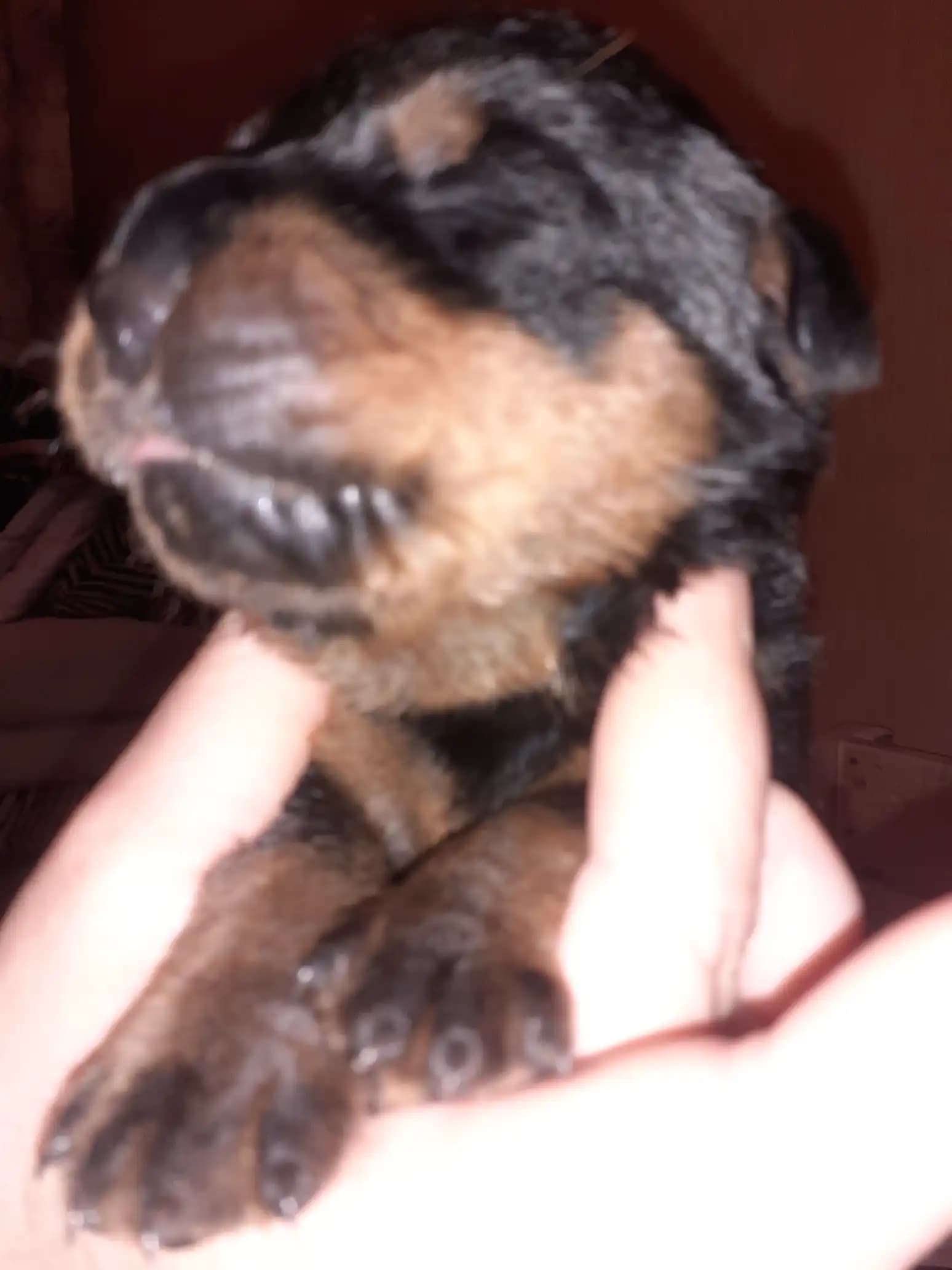 carousel-image-mobile-3