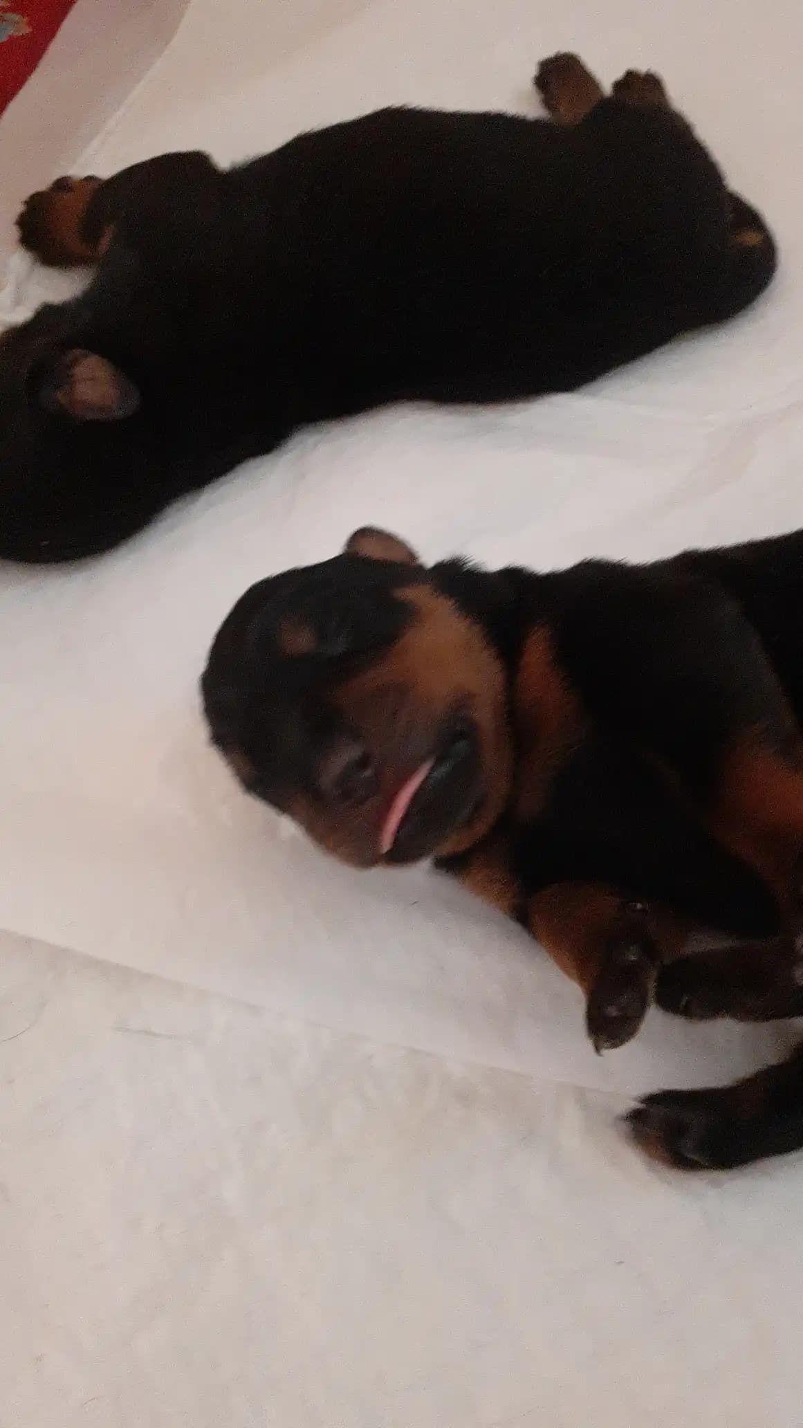 carousel-image-mobile-4