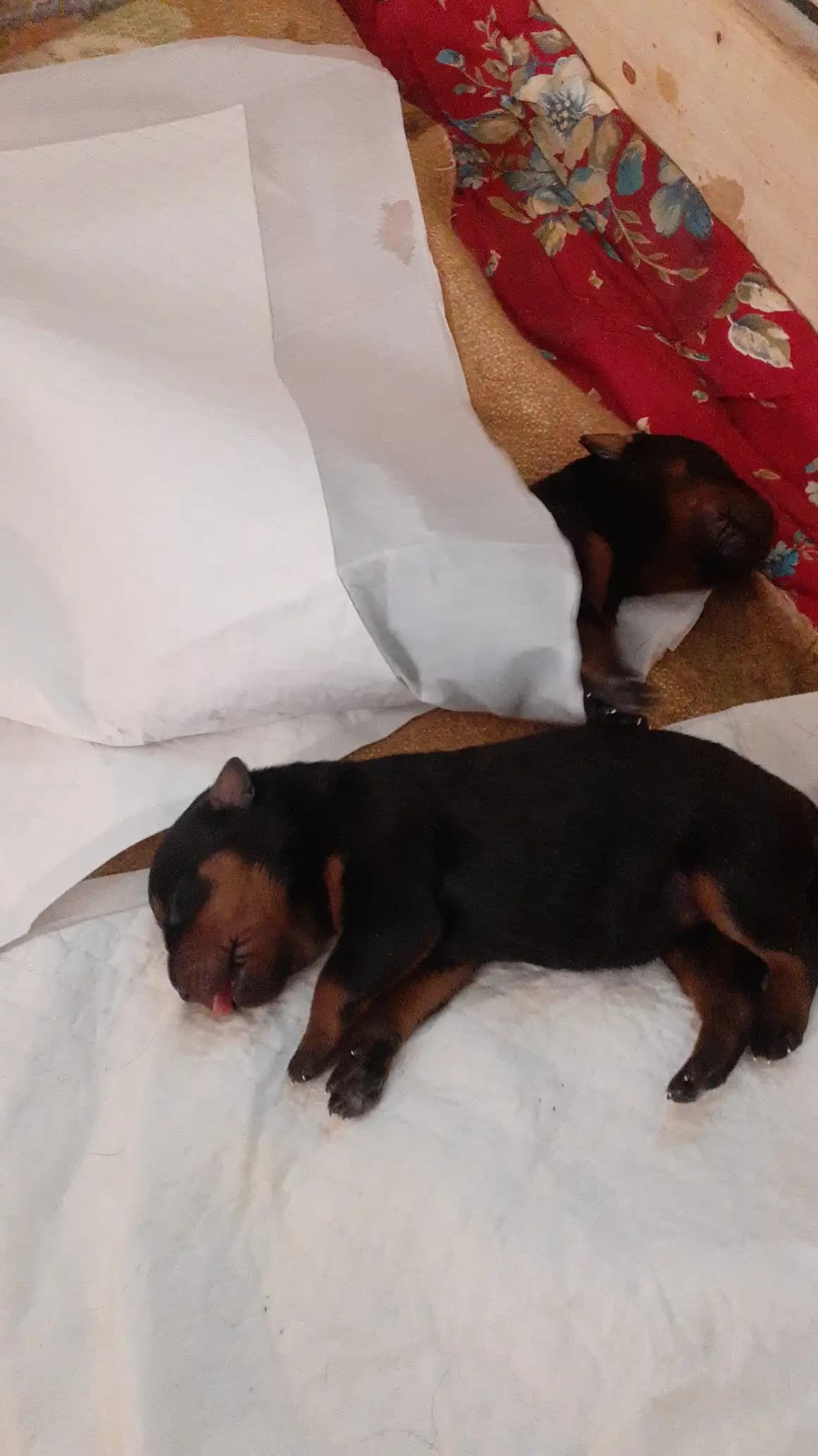 carousel-image-mobile-5