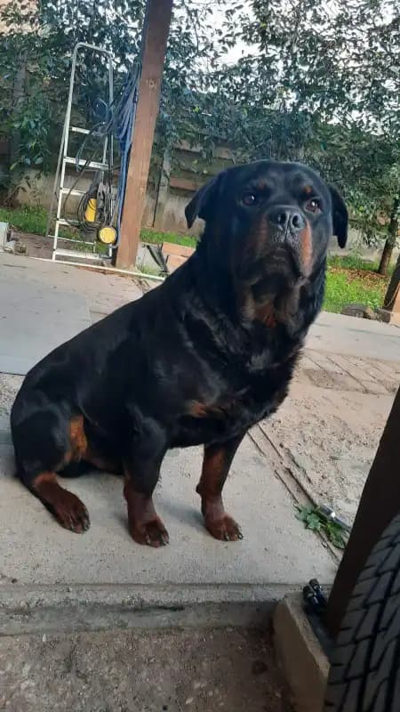 carousel-image-mobile-6