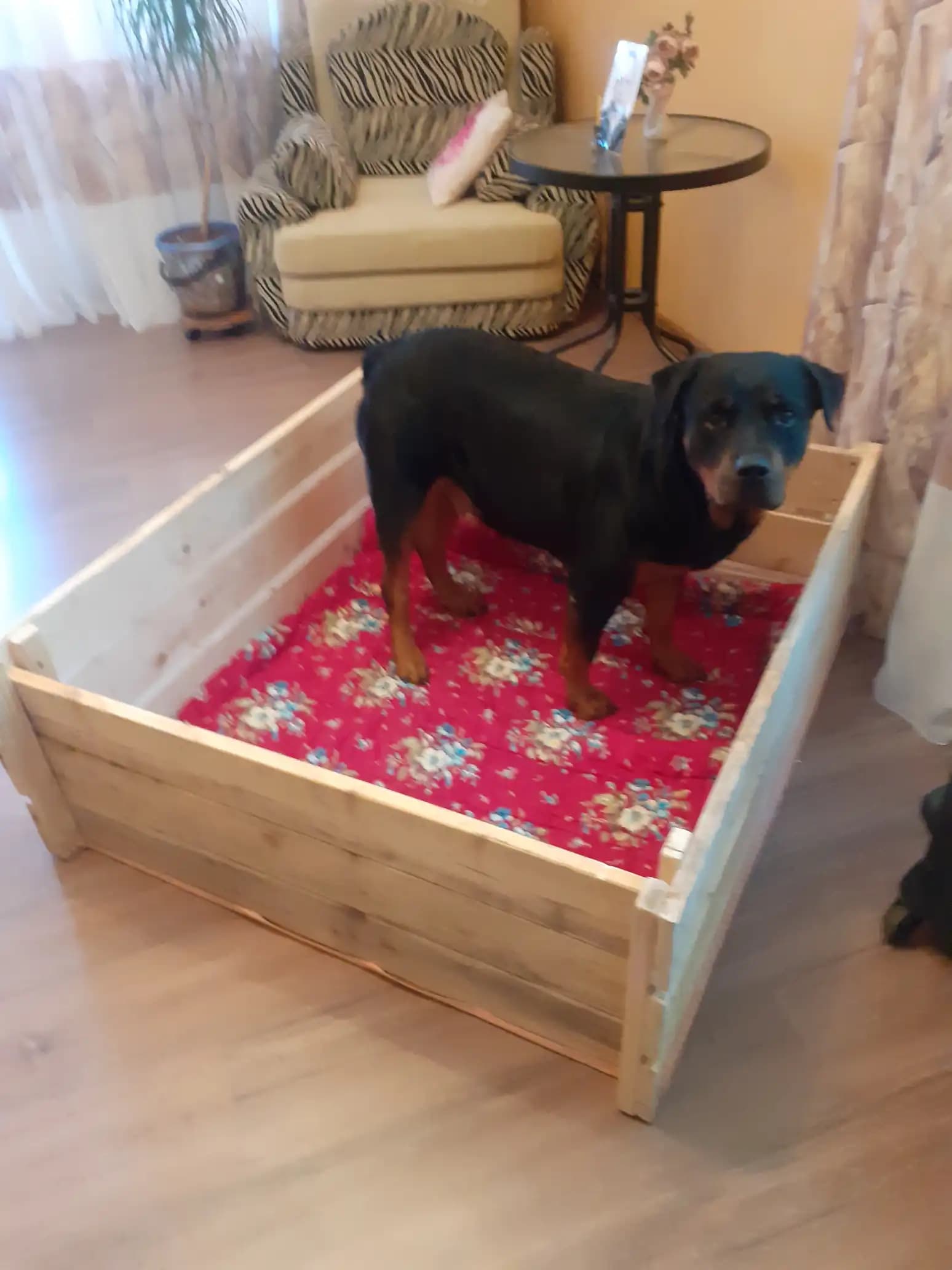 carousel-image-mobile-8