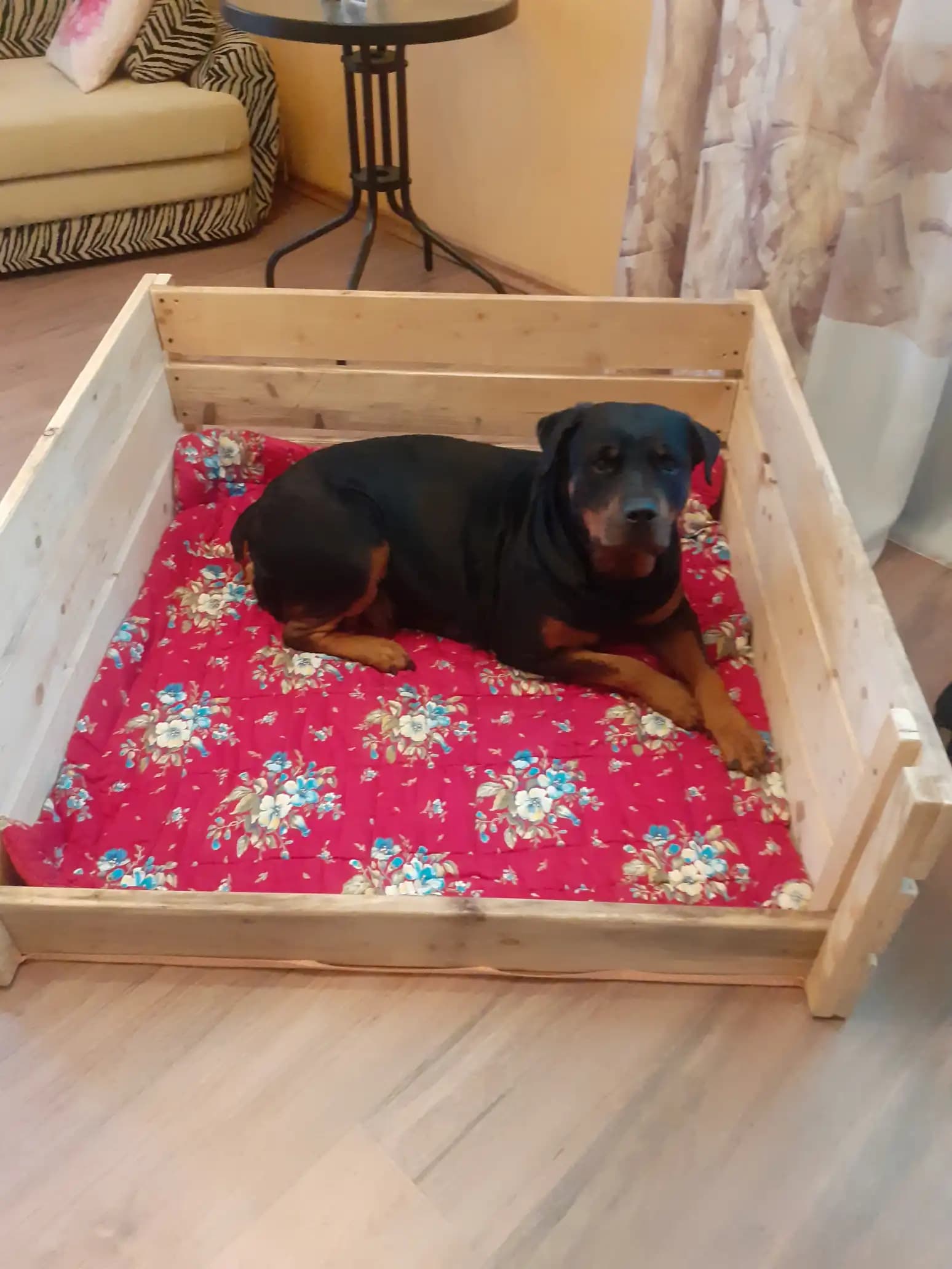 carousel-image-mobile-9