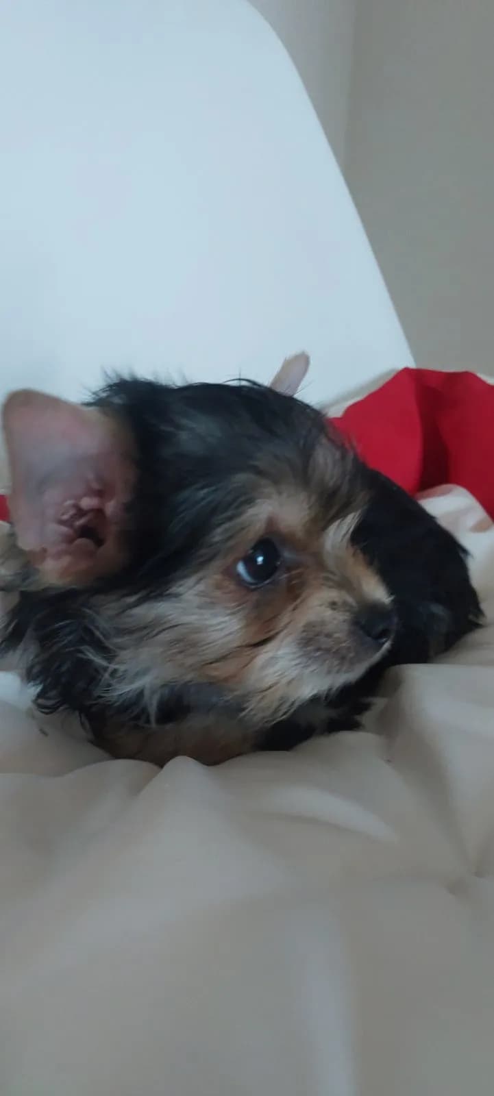 carousel-image-mobile-1