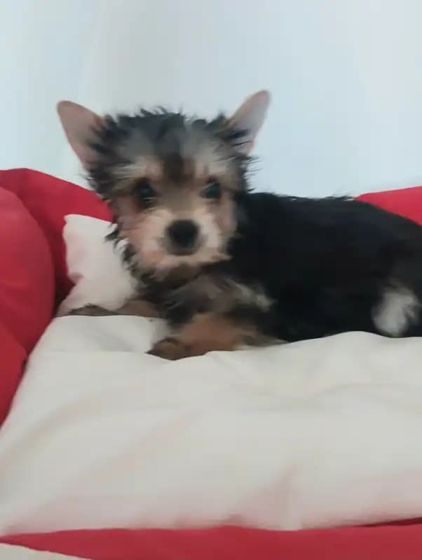 carousel-image-mobile-2