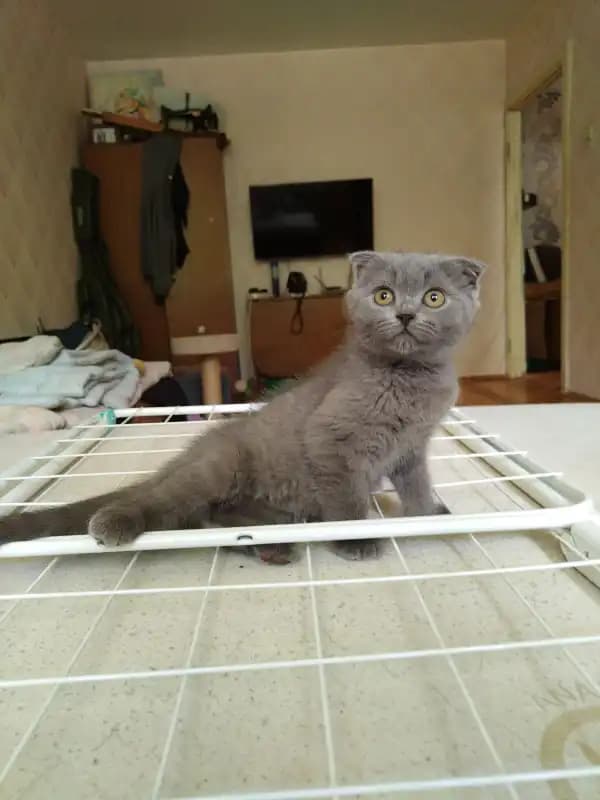 carousel-image-mobile-1