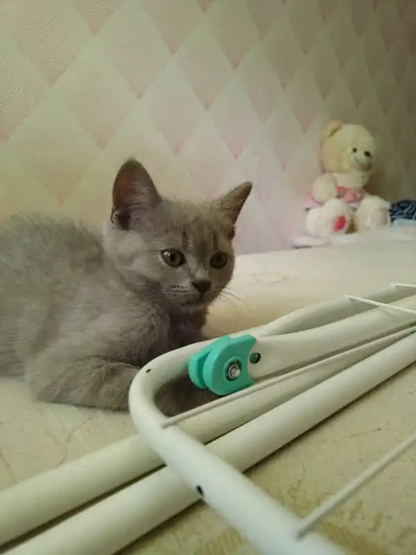 carousel-image-mobile-2