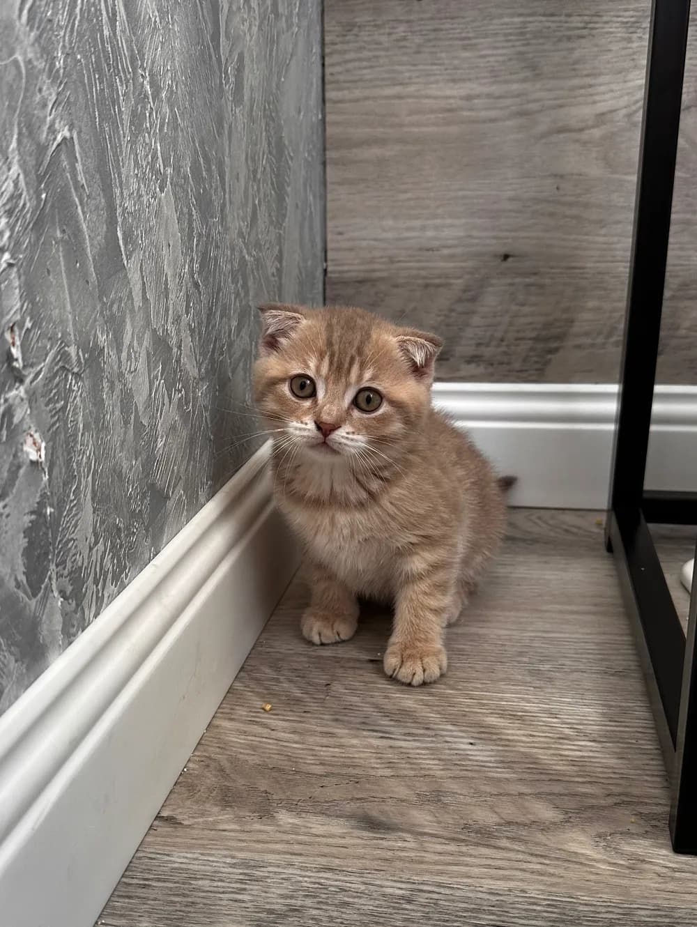 carousel-image-mobile-1