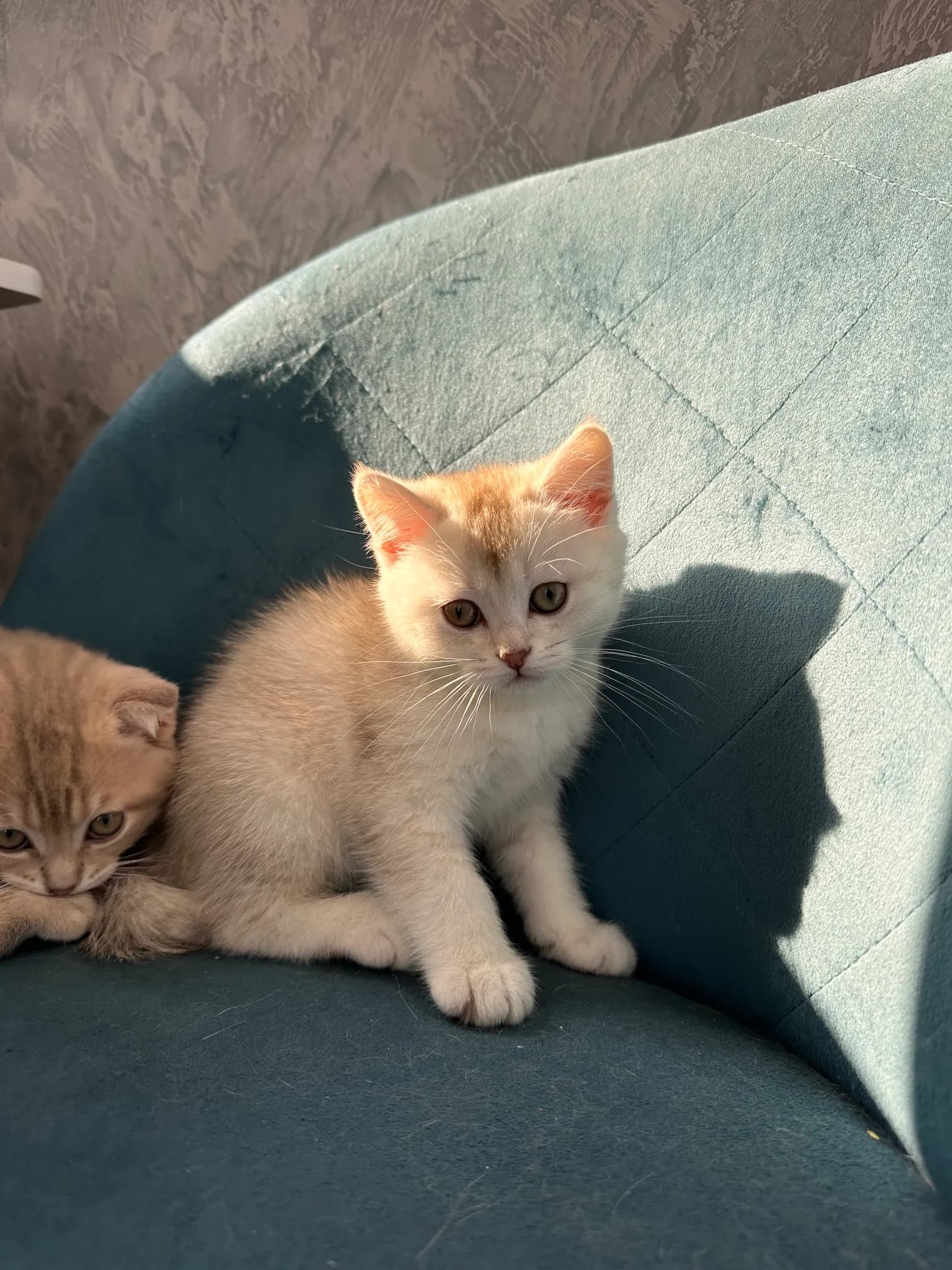 carousel-image-mobile-2