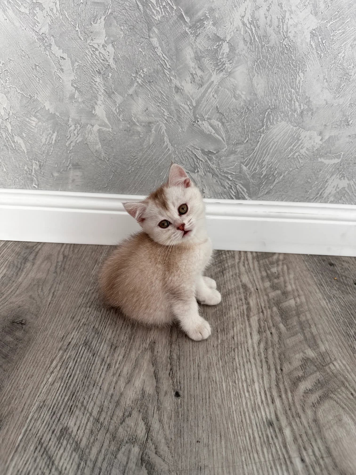 carousel-image-mobile-3