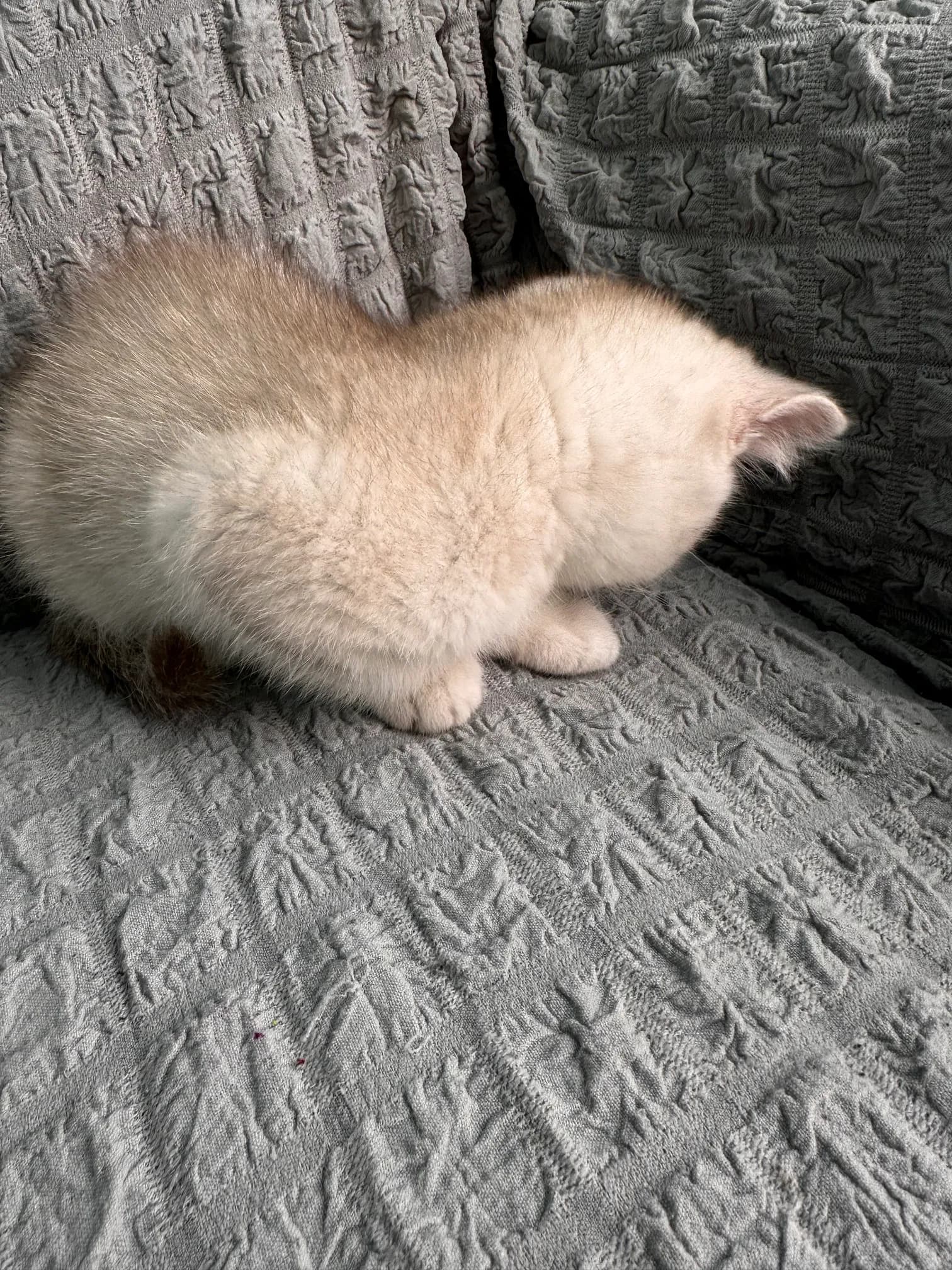 carousel-image-mobile-5