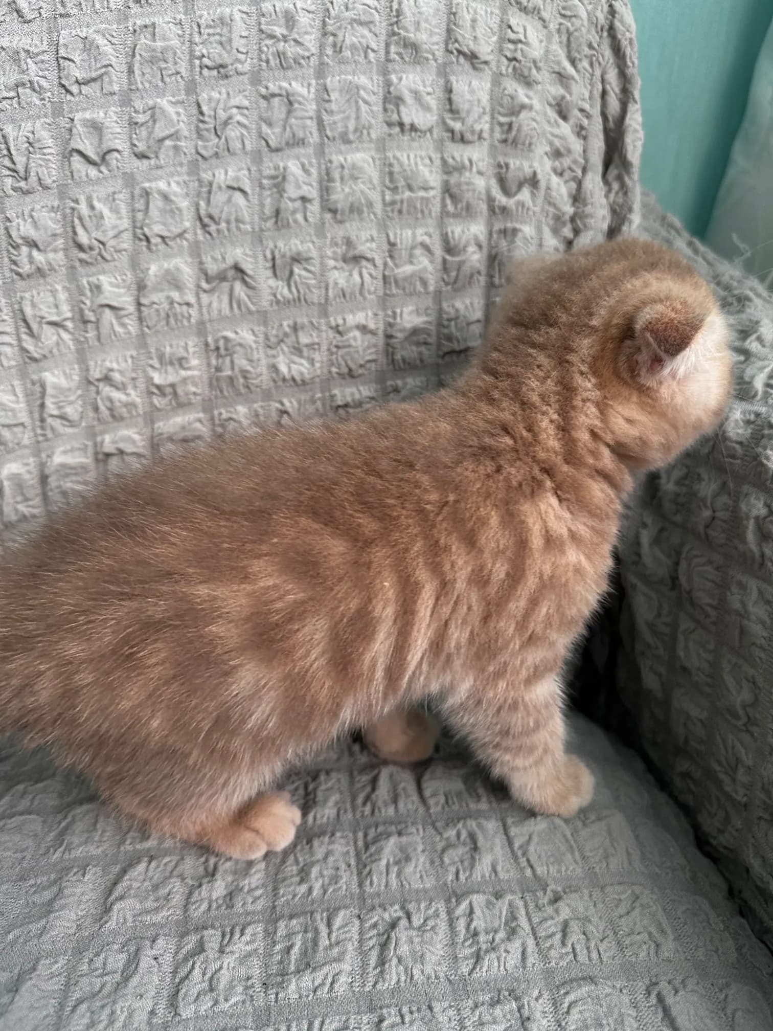 carousel-image-mobile-7