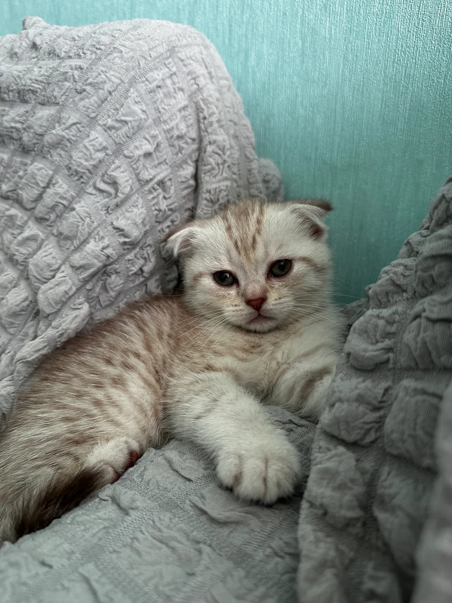 carousel-image-mobile-8