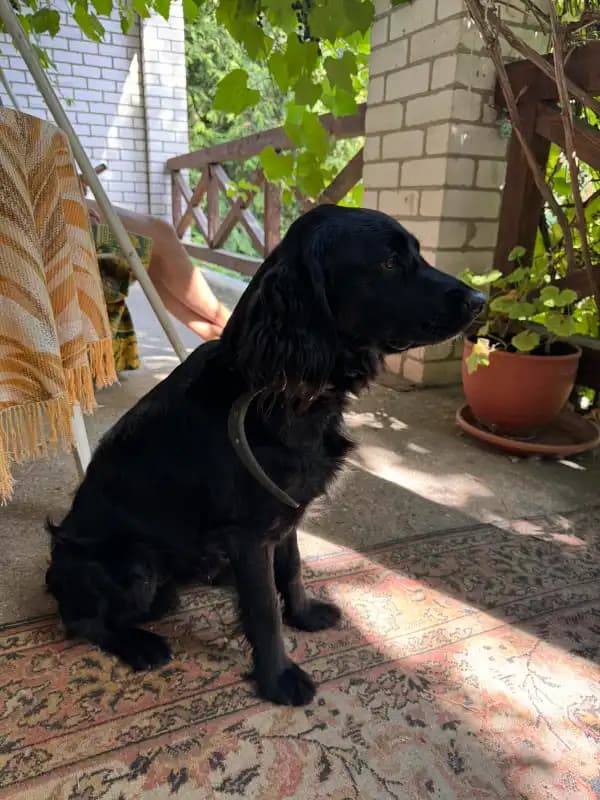 carousel-image-mobile-2