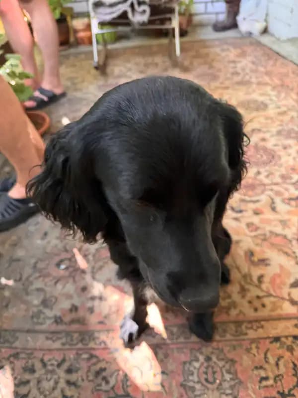 carousel-image-mobile-3