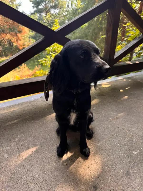 carousel-image-mobile-1