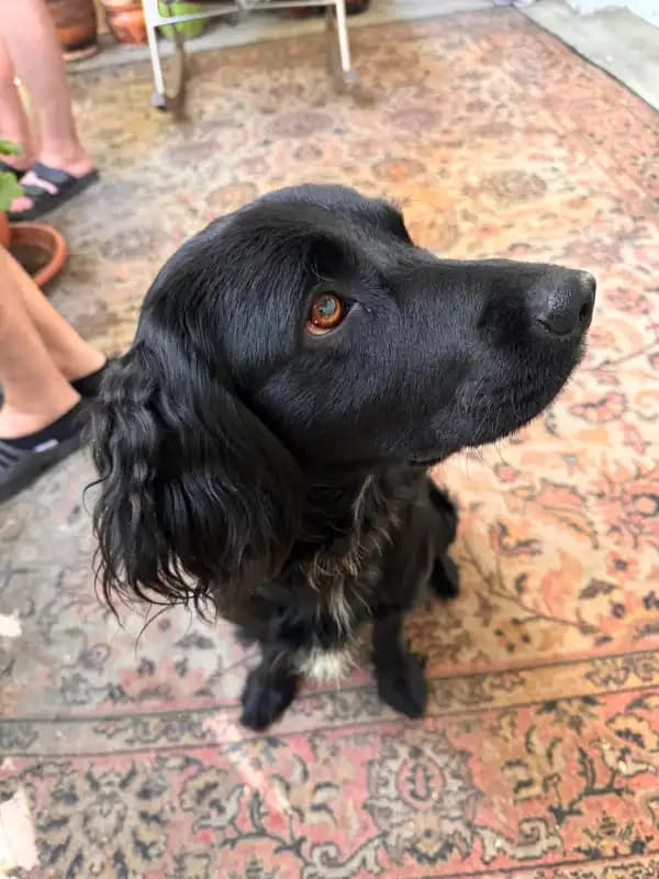 carousel-image-mobile-2