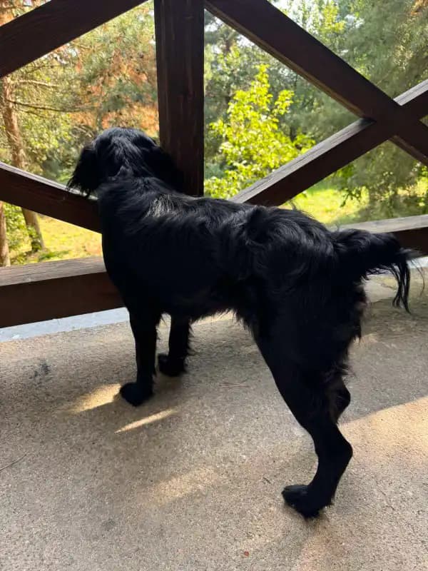 carousel-image-mobile-3