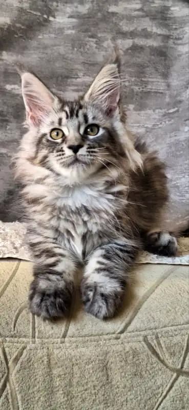 carousel-image-mobile-1