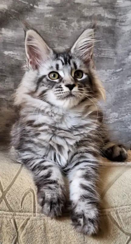 carousel-image-mobile-2