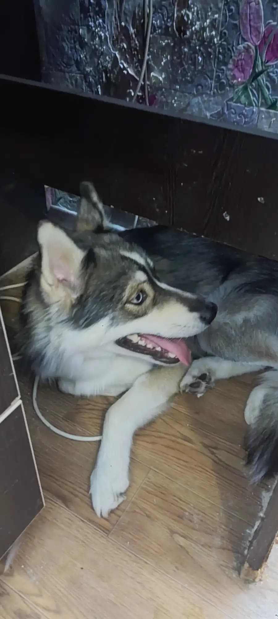 carousel-image-mobile-1