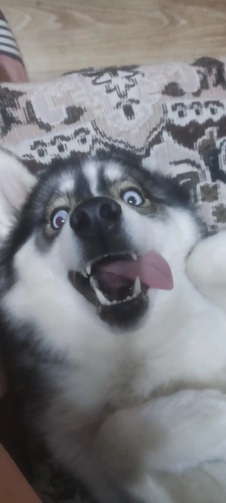 carousel-image-mobile-2