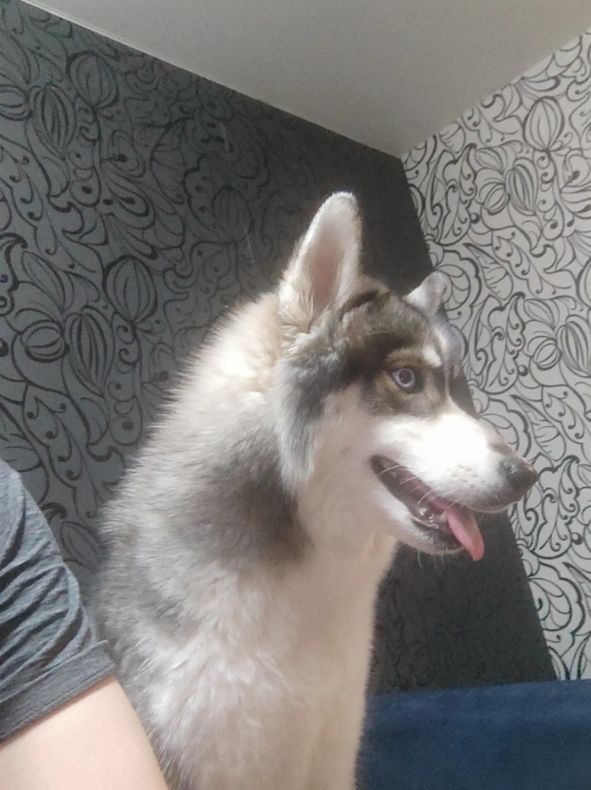 carousel-image-mobile-3